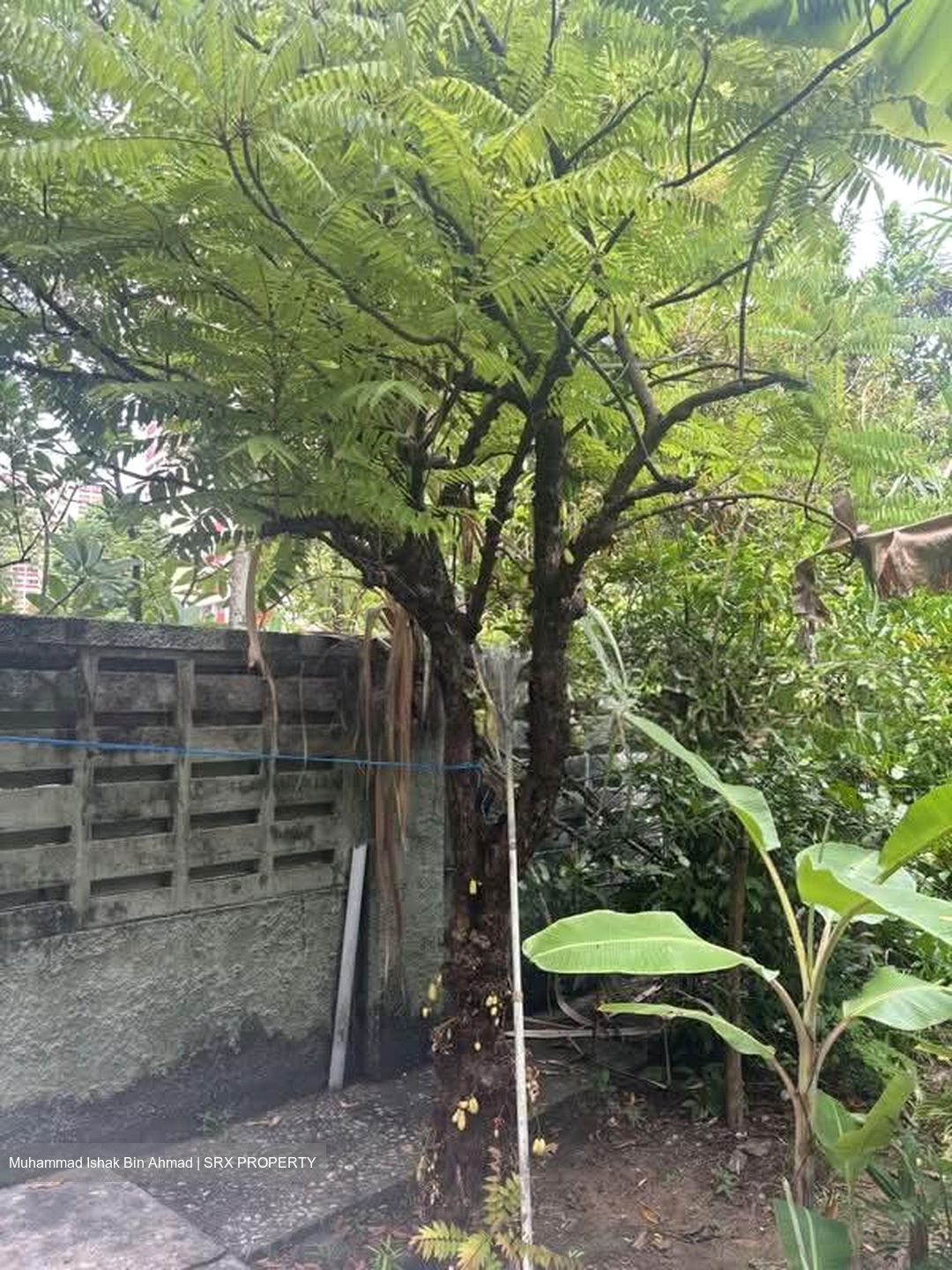East Coast Avenue (D15), Detached #582356021